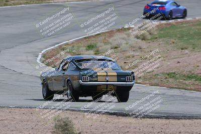 media/Mar-04-2023-West Coast Racing (Sat) [[a3f8e4c156]]/Green/Back Shots/